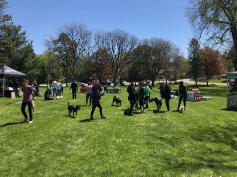 Bring Your Own Dog Day