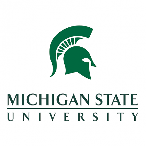 New MSU AP Literature Workshop being held at Bowers