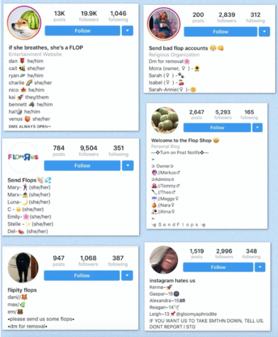 Teens Get News from Instagram Flop Accounts