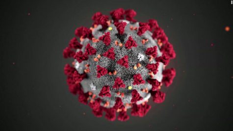Live Coverage of the COVID-19 (coronavirus) Impact on BHHS
