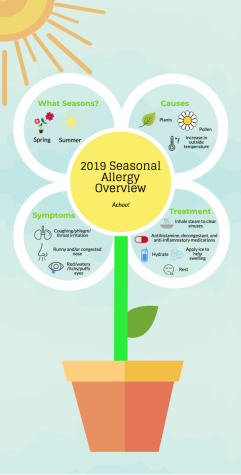 2019 Seasonal Allergy Overview