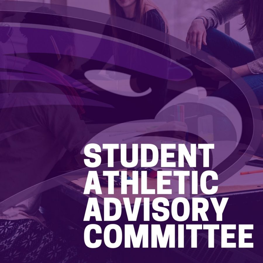 New Athletic Committee Forming at BHHS