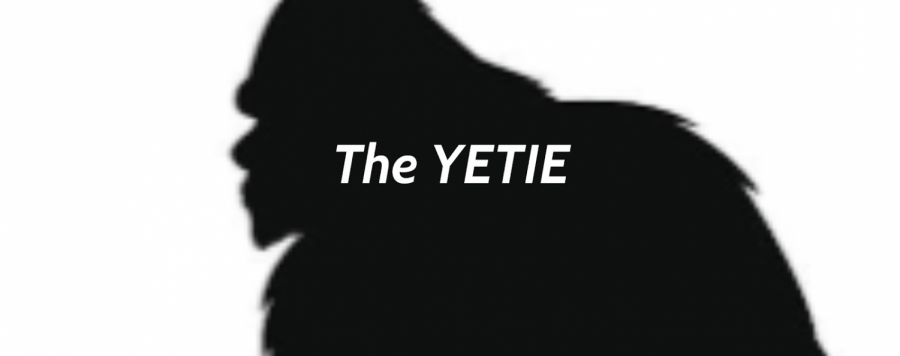 Getting+ready+for+the+YETIE
