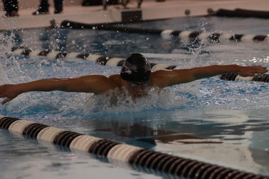 Sophomore Jaden Solomon swims butterfly during a recent swim meet