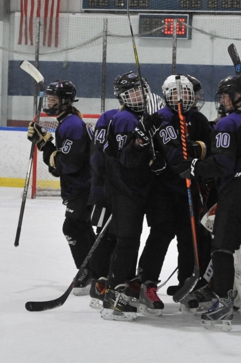 Women in hockey