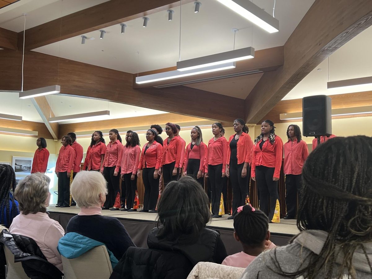 the Songs for the People performance brought a crowd to the Bloomfield Township Public Library