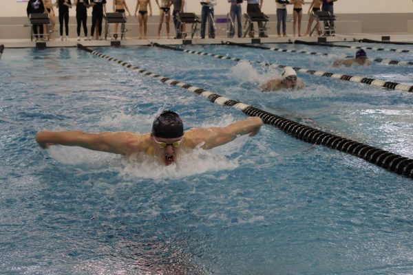 Photostory: Diving In