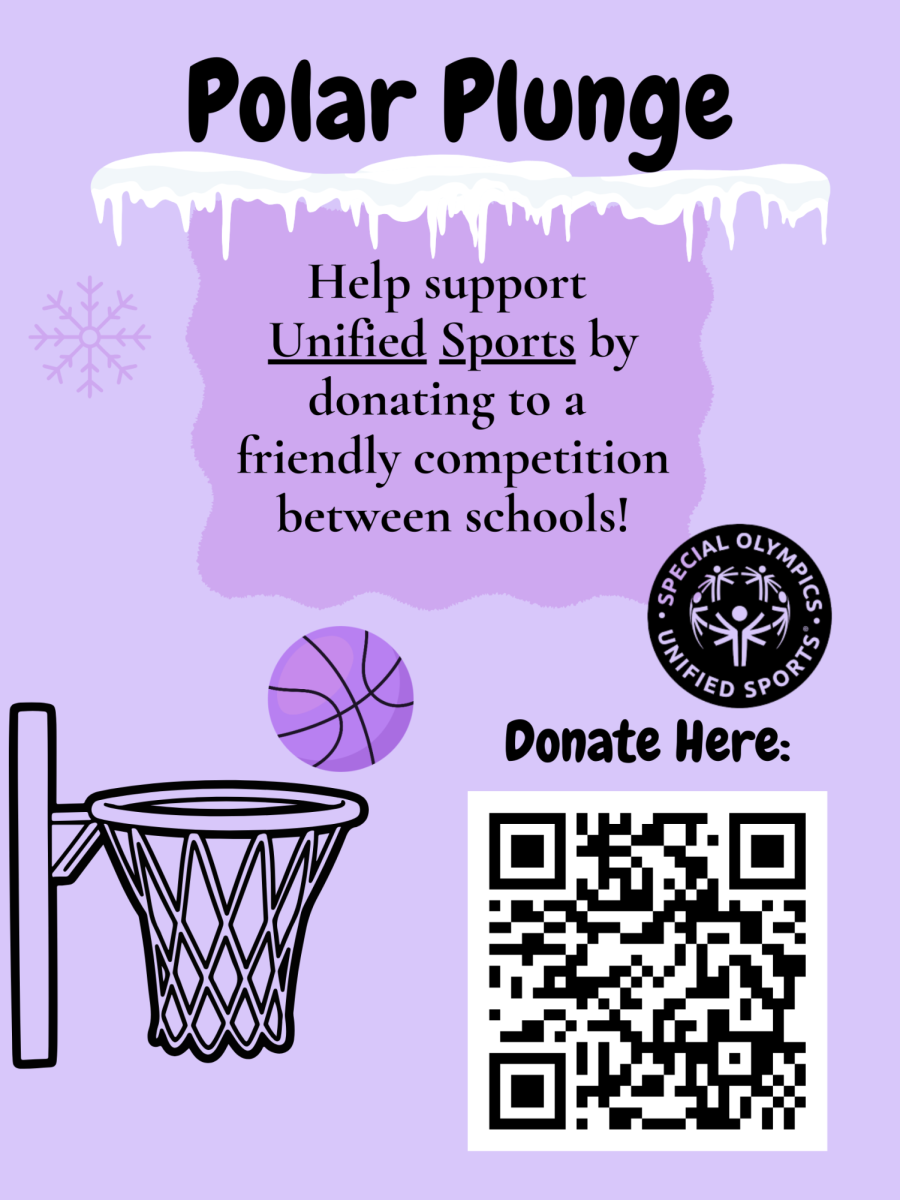 Unified Sports Polar Plunge